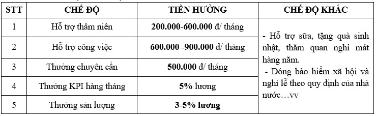 image-21 tuyển dụng